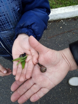 04 мая 2020г. Юные натуралисты