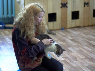 Посещение городского приюта для кошек