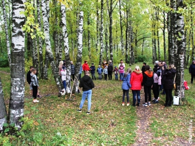 В Череповце воспитанники центра «Наши дети» прибрались в роще
