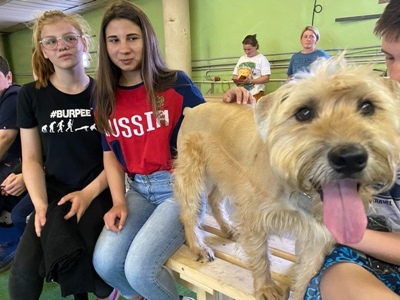 15 июня 2021г. Профессия - кинолог