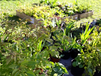 02 июня 2021г. Металлурги подарили центру для детей-сирот спортинвентарь и цветы