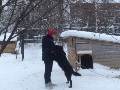 09 января 2019г. В гостях у четвероногих друзей